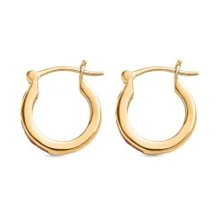 Afrikanische Rubin (Fissure Gefüllt) Creolen, 925 Silber Vergoldet, Ca. 0.99 Ct -Schmuck Shoplc 8958572 3